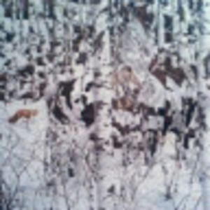 Meet your Posher, Rob